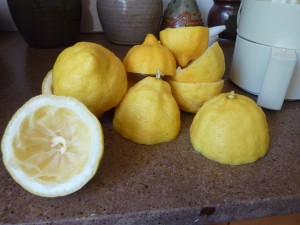Making Lemonade