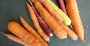 freshness farms carrots