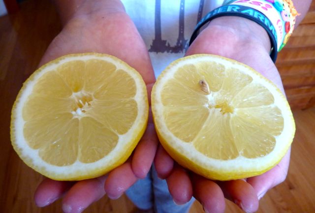 Cut lemons