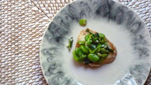 Fava Beans on Toast