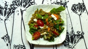 Lentil Salad with Sun-dried Tomato Vinaigrette