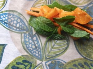 Unwrapped spring roll